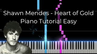 Shawn Mendes  Heart Of Gold  Piano Tutorial Easy [upl. by Ute]