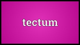 Tectum Meaning [upl. by Conny]