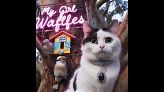 WAFFLES AND THE KITTY LITTER [upl. by Hermina890]