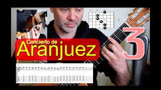 Rodrigo Guitar Concerto de Aranjuez  lesson 3 [upl. by Nelie]