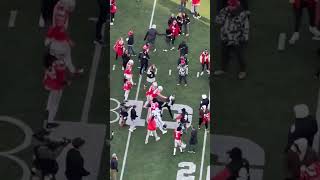 Michigan Student Stops Ohio State Players from Destroying the Flag 🏈 [upl. by Sharleen]