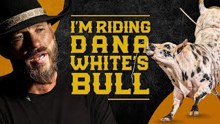 DONALD COWBOY CERRONE quotIm gonna RIDE DANA WHITEs BULLquot [upl. by Noyahs]