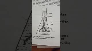 Willmotts BubblerPhotodynthesis practical [upl. by Hirz]