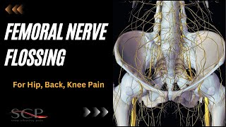 Femoral Nerve Flossing for Hip Back Knee Pain [upl. by Reve244]