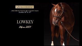 Lowkey  Hip no 2007 NRCHA Futurity Sale [upl. by Ettevram]