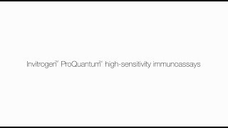 Invitrogen ProQuantum HighSensitivity immunoassays  minimal sample consumption [upl. by Holden]