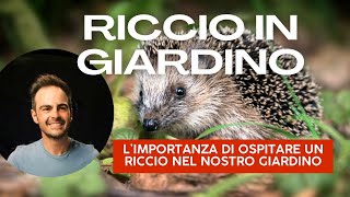 Ricci in giardino scopri perché ne hai bisogno [upl. by Zenger]