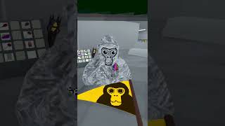 Vizor Interviews Episode 6 gorillatagfun gorillatag vr [upl. by Artenek]