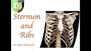 Sternum and Ribs [upl. by Suoiluj462]