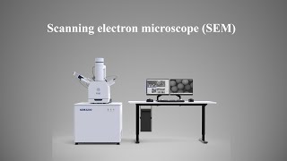 Scanning electron microscope SEM [upl. by Horne]