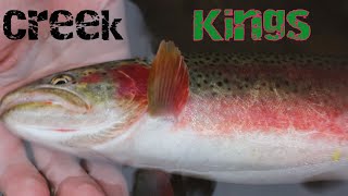 High Water Creek Fishing for Cutthroat amp Bull Trout  PART 1  Terrace Series [upl. by Xer68]