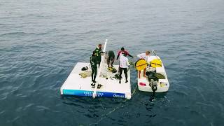 Freediving Depth Competition  Apnea San Andres Colombia [upl. by Ariay]