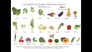 SIMPLE Y FACIL Calendario de siembra para huerta [upl. by Wilkens462]