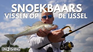 🎥 Succesvol snoekbaars vissen op de IJssel  Roofvissen met HJ [upl. by Carew]