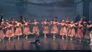 HSW Gdynia  Moscow City Ballet Jezioro Łabędzie [upl. by Enelyaj]