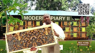 How to be a Modern BeeKeeper from Day 1 till harvest [upl. by Samid]