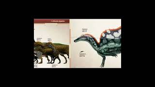 theropod dinosaur size comparison dinosaurs prehistoric mesozoic [upl. by Nybor]