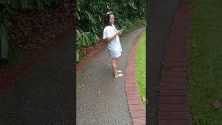 botanic garden at Singapore ♥️♥️♥️highlights happy viralvideo singapore [upl. by Lipinski]