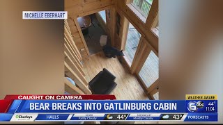 Bear breaks into Gatlinburg cabin [upl. by Beetner]