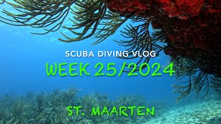 Scuba Diving St Maarten Vlog  Week 25 2024 [upl. by Ahsyekal]