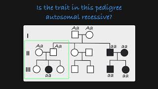 Autosomal Recessive Traits in a Pedigree [upl. by Neetsirhc]