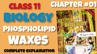 Phospholipid Waxes Chapter01 Biological molecules Class 11  Sindh board [upl. by Onibag234]