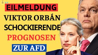 Wird Deutschland Europa führen – Orbáns explosive Prognosen zum Aufstieg der AfD  Politik Heute [upl. by Felske]