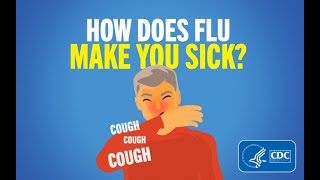 How Does Flu Make You Sick [upl. by Tarabar]