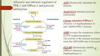 Gluconeogenesis regulation [upl. by Eleaffar]