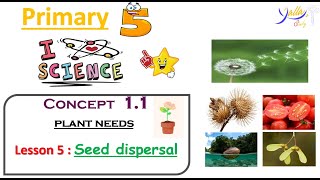 Science  Primary 5  lesson 5 concept 11 seed dispersal [upl. by Broida700]