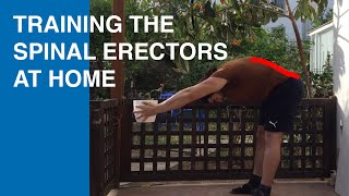 How To Train The Spinal Erectors Without Equipment [upl. by Errot]