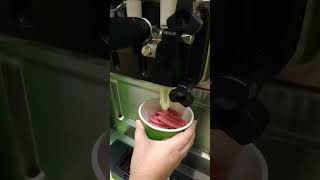 cayman islands  video satisfying ice cream yogurt sweet yogurt satisfying [upl. by Eirrot]