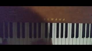 Hyper Fast Pianist Freestyling Colourful Arpeggiated Chord Combo Runs  Overhead Camera View [upl. by Tamara153]