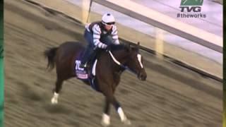 TVGs quotThe Worksquot Untapable [upl. by Kola25]