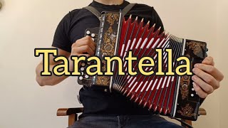 TARANTELLA NAPOLETANA  accordion  Italian Music [upl. by Alfreda]