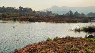 AGRICULTURE LAND FOR SALE IN KHOPOLI [upl. by Aitel]