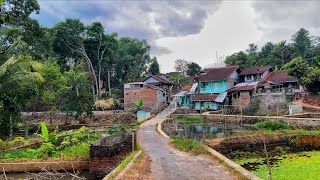 Menyusuri Suasana Pedesaan Yg Masih Asri Kampung Cisalak Garut Jawa Barat [upl. by Coryden449]