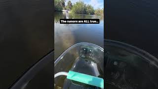 Manatee encounters on a kayak in Bradenton [upl. by Nireil]