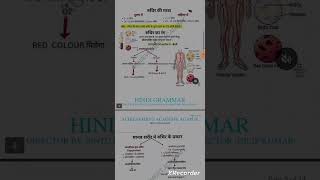 CIRCULATORY system by ACHIEVEMENT ACADEMY WITH COACHING CENTRE AGAPUR 🇮🇳🇮🇳🇮🇳 [upl. by Sanders981]