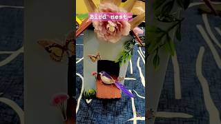 Bird nest craft craft birdnest artandcraft painting diy [upl. by Nivram]