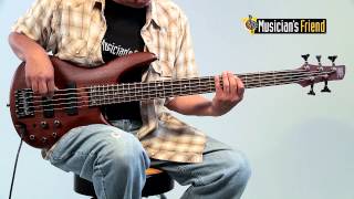 Ibanez SR505 5String Electric Bass Guitar [upl. by Noreen]