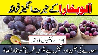 Health Benefits Of Eating Plum Fruit  Aloo Bukhara Khane Ke Fayde in Urdu Hindi [upl. by Adlai]