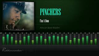 Pinchers  Im A Don African Beat Riddim HD [upl. by Ambros]