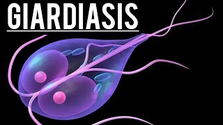 Giardia which cause giardiasis [upl. by Nered637]