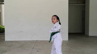 Taekwondo Blue Tip Pattern  Practice 1 [upl. by Travers]