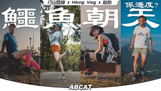 🐊『鱷魚朝天』係邊度？Keen 行山鞋實測｜4K Hiking Vlog＃127 Pat Heung Fire Lookout [upl. by Ecnarolf]