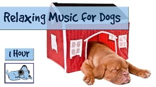 1 HOUR DOG MUSIC SPECIAL Relaxing Music for Puppies and Dogs Help your Dog to Calm Down 🐶 RMD07 [upl. by Leirea]