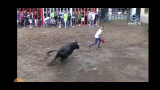 Salida del segundo toro de Carmen Valiente en almazora imágenes tv almazora el 5 de octubre 2024 [upl. by Rockey474]