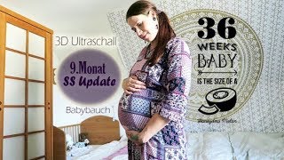 Schwangerschafts Update  Der 9 Monat  Baby Nr 2  3D Bilder  Befinden  Babybauch [upl. by Ralat195]