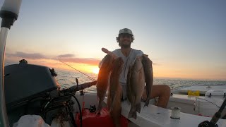 Mangrove Snapper Limit  Florida Saltwater Fishing  Florida Keys Fishing  Live Bait Fishing [upl. by Yasnyl68]